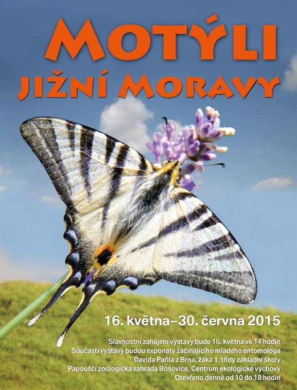 Výstava Motýli jižní Moravy